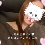ゆい 3月も出勤してます🫶🏻 京都ホテヘル倶楽部