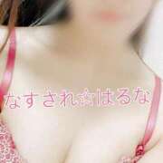 ヒメ日記 2025/06/05 12:05 投稿 はるな奥様 なすがママされるがママ