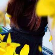 ヒメ日記 2025/06/03 14:49 投稿 小坂 京香 こあくまな熟女たち浜松店（KOAKUMAグループ）