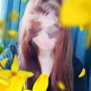 ヒメ日記 2025/06/08 12:39 投稿 小坂 京香 こあくまな熟女たち浜松店（KOAKUMAグループ）