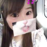 ヒメ日記 2025/11/16 13:33 投稿 まなみ アップル(長崎)