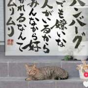 ヒメ日記 2025/11/23 20:04 投稿 まなみ アップル(長崎)