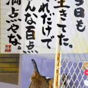 ヒメ日記 2025/12/12 19:49 投稿 まなみ アップル(長崎)