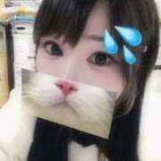 ヒメ日記 2026/01/07 11:03 投稿 まなみ アップル(長崎)