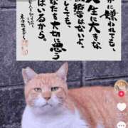 ヒメ日記 2026/02/20 21:04 投稿 まなみ アップル(長崎)