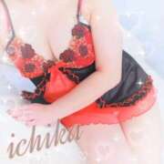 ヒメ日記 2025/11/02 12:16 投稿 いちか 太田人妻城