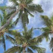 いちか *⋆⸜ᴳᴼᴼᴰ ᴹᴼᴿᴺᴵᴺᴳ⸝⋆* 太田人妻城