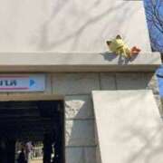 ヒメ日記 2026/03/11 21:11 投稿 めめ X-PARTY