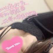 ヒメ日記 2025/04/29 12:31 投稿 れお 奥様なでしこ