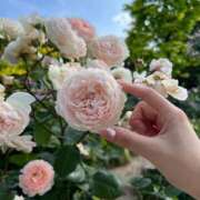 ヒメ日記 2025/05/08 12:17 投稿 こころ Number Five 品川（シンデレラグループ）