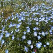 ヒメ日記 2025/06/08 09:26 投稿 こころ Number Five 品川（シンデレラグループ）