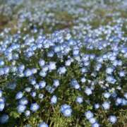 ヒメ日記 2025/07/13 08:46 投稿 こころ Number Five 品川（シンデレラグループ）