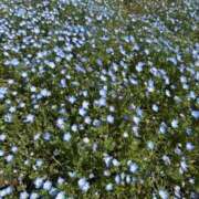 ヒメ日記 2025/07/21 13:29 投稿 こころ Number Five 品川（シンデレラグループ）