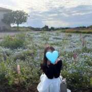 ヒメ日記 2025/08/19 11:10 投稿 こころ Number Five 品川（シンデレラグループ）