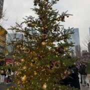 ヒメ日記 2025/12/25 11:18 投稿 こころ Number Five 品川（シンデレラグループ）