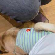 ヒメ日記 2025/10/13 17:12 投稿 青空　くもりNH 宮城♂風俗の神様 仙台店