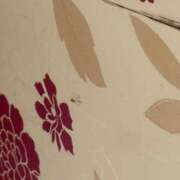 ヒメ日記 2025/06/01 03:30 投稿 もこ☆ミニマム美乳♪ ジャックと豆の木