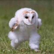 ヒメ日記 2025/06/01 07:17 投稿 もこ☆ミニマム美乳♪ ジャックと豆の木