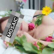 ヒメ日記 2025/12/12 14:24 投稿 もこ☆ミニマム美乳♪ ジャックと豆の木