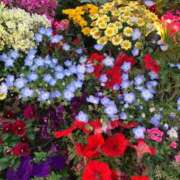 ヒメ日記 2025/04/27 13:22 投稿 よる 人妻㊙︎倶楽部