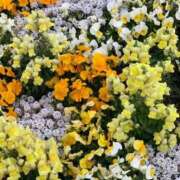 ヒメ日記 2025/04/28 13:42 投稿 よる 人妻㊙︎倶楽部