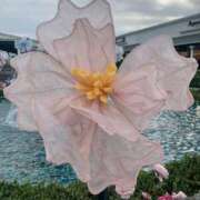 ヒメ日記 2025/04/29 20:52 投稿 よる 人妻㊙︎倶楽部