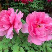 よる T様ありがとう♡ 人妻㊙︎倶楽部