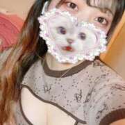 ヒメ日記 2025/06/19 12:20 投稿 みみ アメリカンクリスタル