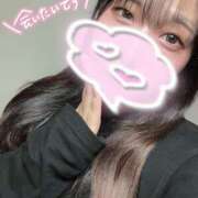 ヒメ日記 2025/12/19 15:25 投稿 みみ アメリカンクリスタル