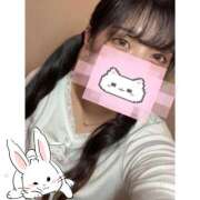 みみ 🐱 アメリカンクリスタル