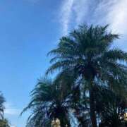 ヒメ日記 2025/10/26 17:53 投稿 宝月　ひかる マダム美林　札幌店