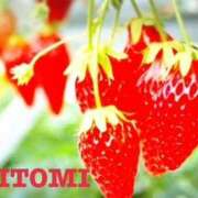 ヒメ日記 2026/03/16 08:56 投稿 ひとみ レッドろまん枚方店