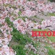 ヒメ日記 2026/04/08 09:12 投稿 ひとみ レッドろまん枚方店