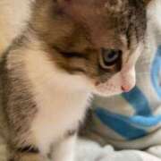 ヒメ日記 2025/09/23 13:57 投稿 そら 吉野ケ里人妻デリヘル 「デリ夫人」