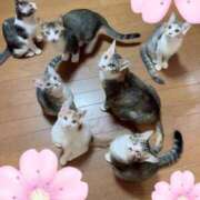 ヒメ日記 2025/10/28 19:07 投稿 そら 吉野ケ里人妻デリヘル 「デリ夫人」