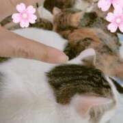 そら そらは春休み中😮🥺 吉野ケ里人妻デリヘル 「デリ夫人」