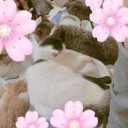 ヒメ日記 2026/04/06 07:15 投稿 そら 吉野ケ里人妻デリヘル 「デリ夫人」