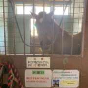 ヒメ日記 2025/05/01 19:29 投稿 KOKORO『ココロ』 GG