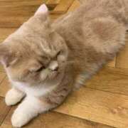 ヒメ日記 2025/05/14 12:36 投稿 KOKORO『ココロ』 GG