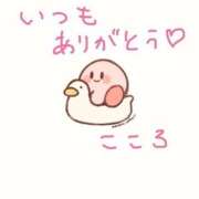 ヒメ日記 2025/06/07 16:29 投稿 KOKORO『ココロ』 GG