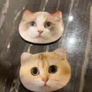 ヒメ日記 2025/06/11 18:09 投稿 KOKORO『ココロ』 GG