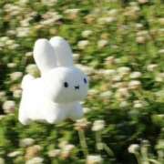 ヒメ日記 2025/07/04 16:29 投稿 KOKORO『ココロ』 GG