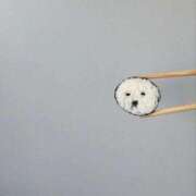 ヒメ日記 2025/09/14 08:15 投稿 KOKORO『ココロ』 GG