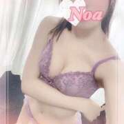 ヒメ日記 2025/05/20 02:48 投稿 のあ♡かわE★小動物美少女♡ 即生専門店ゴッドパイ