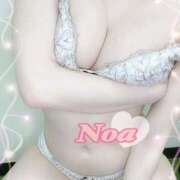 ヒメ日記 2025/05/23 00:53 投稿 のあ♡かわE★小動物美少女♡ 即生専門店ゴッドパイ