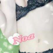 ヒメ日記 2025/05/25 14:15 投稿 のあ♡かわE★小動物美少女♡ 即生専門店ゴッドパイ