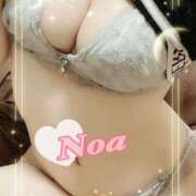 ヒメ日記 2025/06/06 23:17 投稿 のあ♡かわE★小動物美少女♡ 即生専門店ゴッドパイ