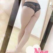 ヒメ日記 2025/06/29 16:34 投稿 のあ♡かわE★小動物美少女♡ 即生専門店ゴッドパイ