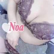 ヒメ日記 2025/07/08 01:04 投稿 のあ♡かわE★小動物美少女♡ 即生専門店ゴッドパイ