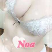 ヒメ日記 2025/07/09 18:24 投稿 のあ♡かわE★小動物美少女♡ 即生専門店ゴッドパイ